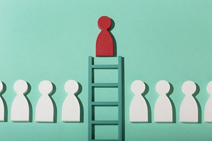 Career Path and Specialization
